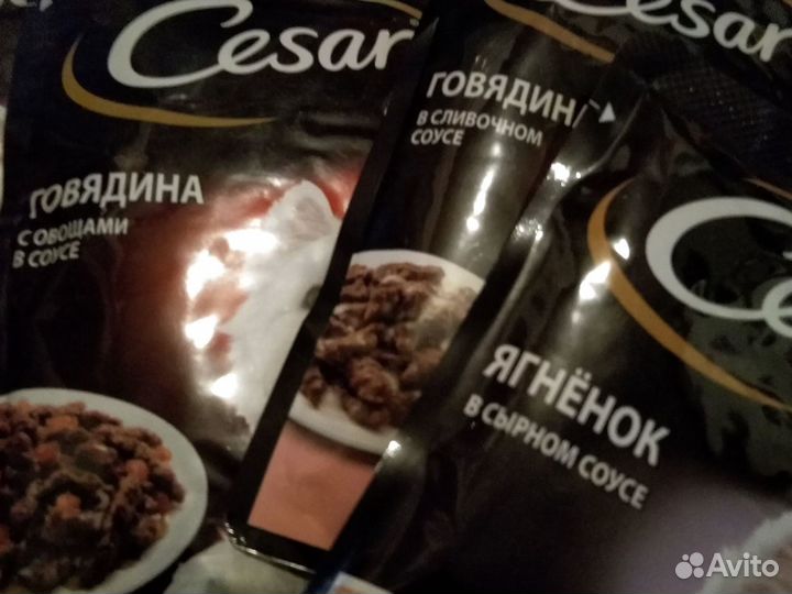 Влажный корм для собак Cesar