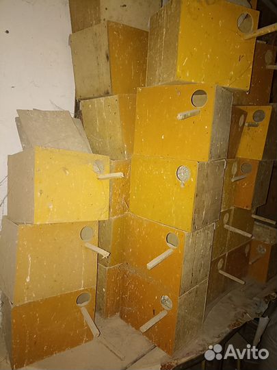 Гнездо для попугаев