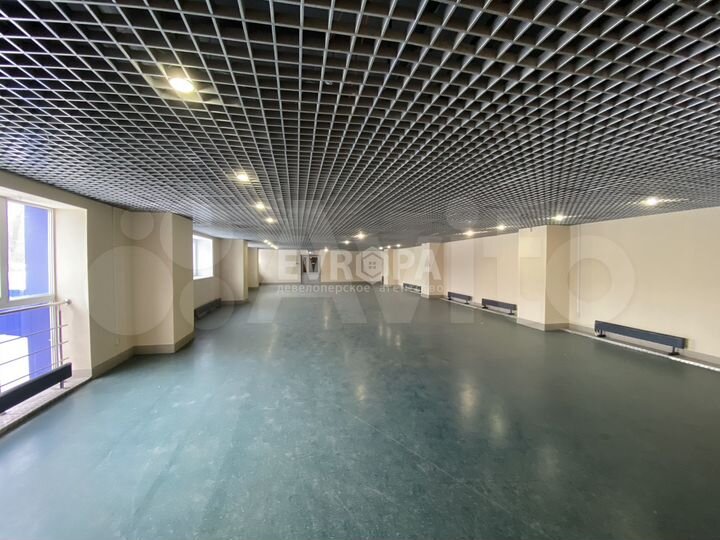 Помещение 236 м²
