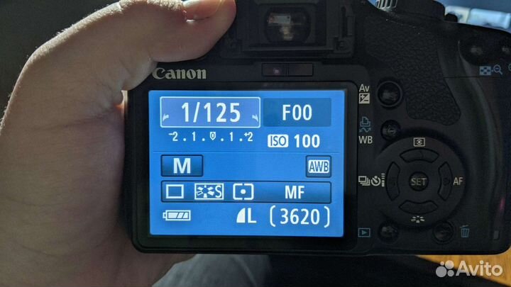 Canon EOS 450D, рабочая