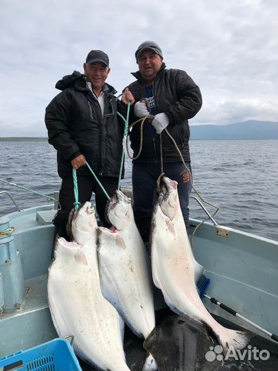 Морская трофейная рыбалка на Итурупе