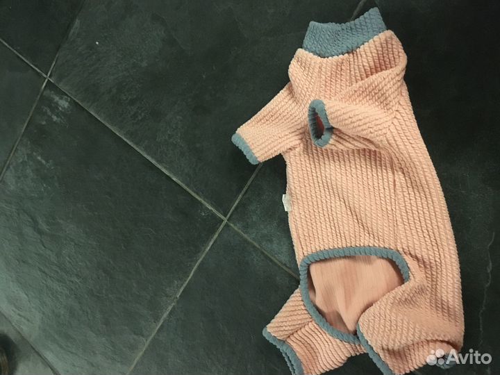 Комбинезон для кошек и собак