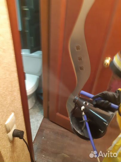 Дезинфекция