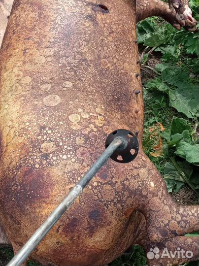 Говядина свинина козлятина,баранина,кролик