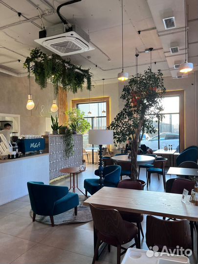 Продажа готового бизнеса кафе