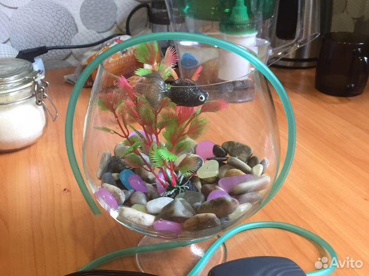 Аквариум бокал