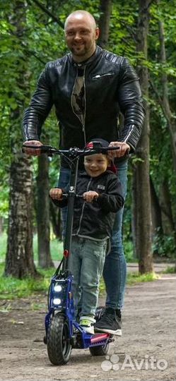 White Siberia Taiga 3.0 Blueberry