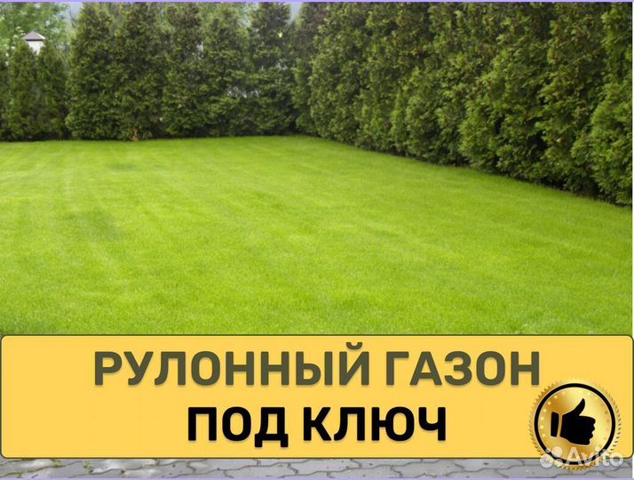 Газон рулонный под ключ