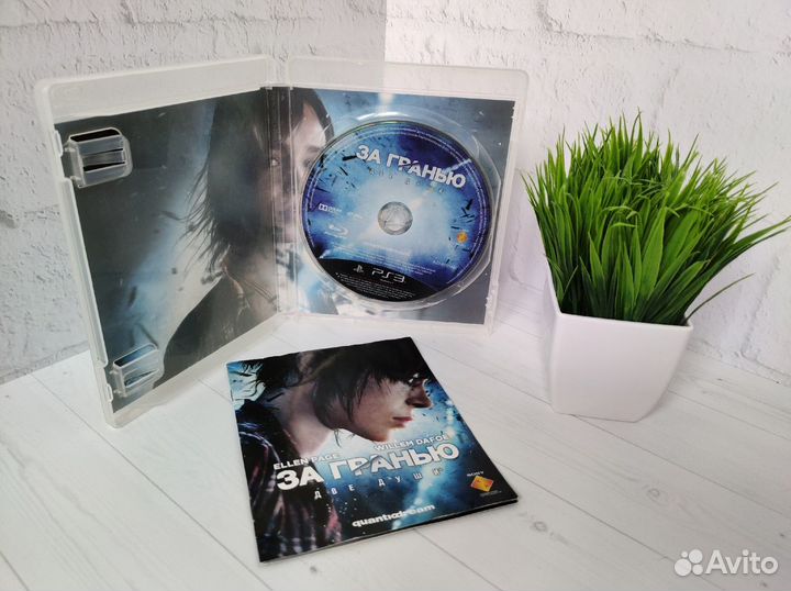 Игра Beyond Two Souls для PlayStation 3 (В)