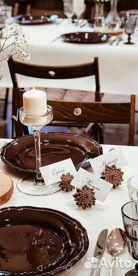 Шишки сосновые