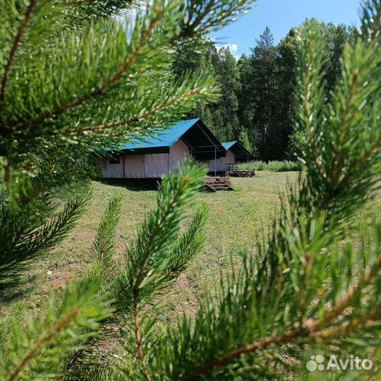 Глэмпинг сафари-тент парк Олень ручьи