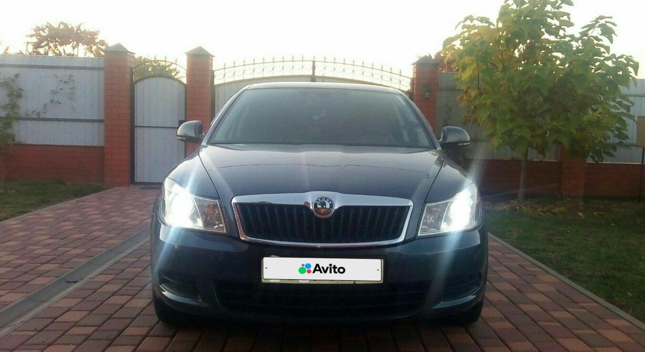 Skoda Octavia: фото владельца