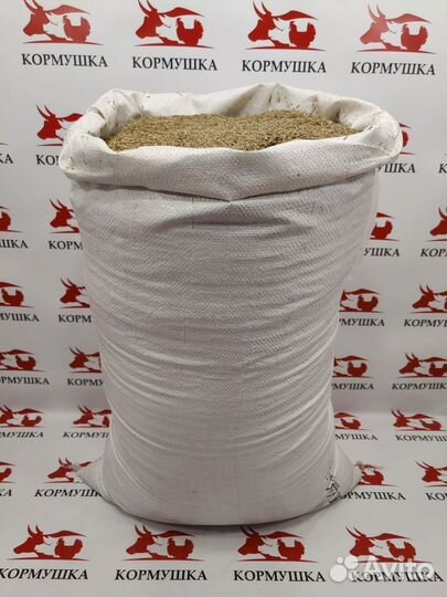 Семена Газонных трав, смесь