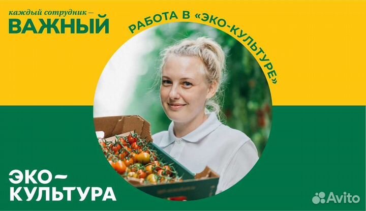 Бригадир с бригадой в теплицу (вахта)