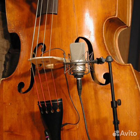 Студийный микрофон Neumann TLM 103