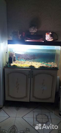 Аквариум 150 литров