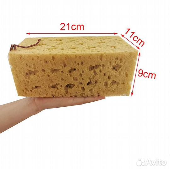 Губка абсорбирующая коралловая