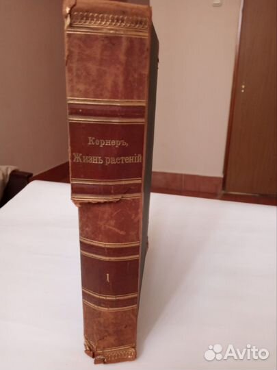 Книга растений. 2 том. Издание 1901 г А Кернер