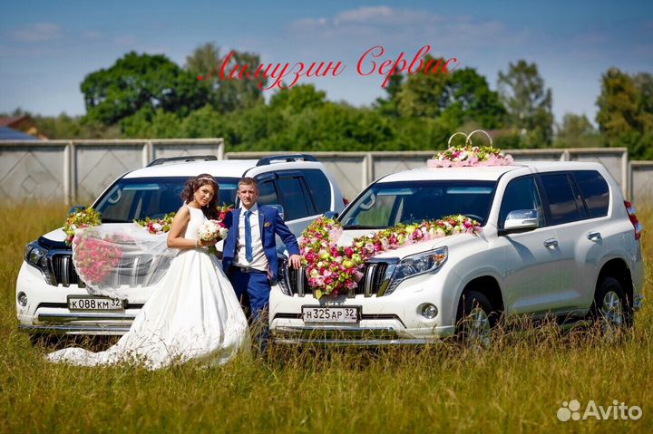 прокат авто брянск. свадебные платья. свадебная атрибутика на прокат курск. прокат брянск. прокат брянск.