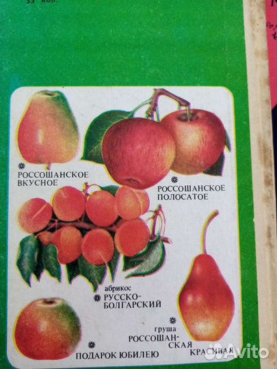 Книга беседа о плодовом саде