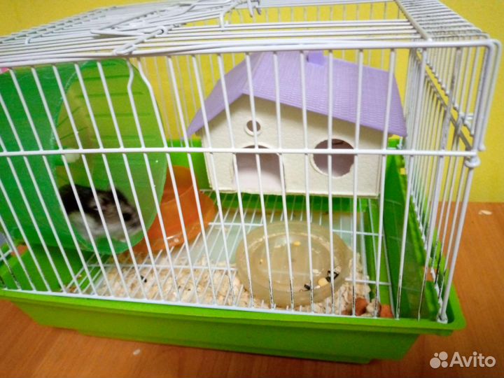 Клетка для грызунов