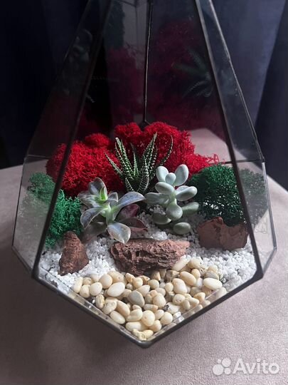 Флорариум подарок на 8 марта