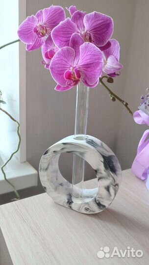 Горшочки из гипса и Вазы из гипса