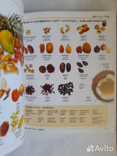 Англо-русский русско-английский визуальный словарь
