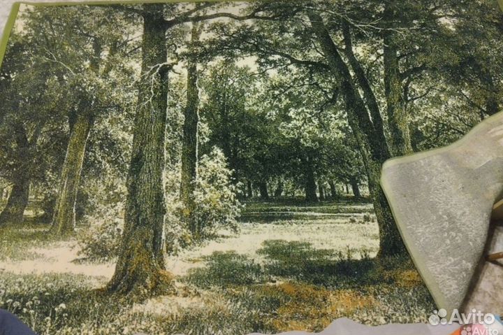 Ковер шерстяной 2х3 зеленый