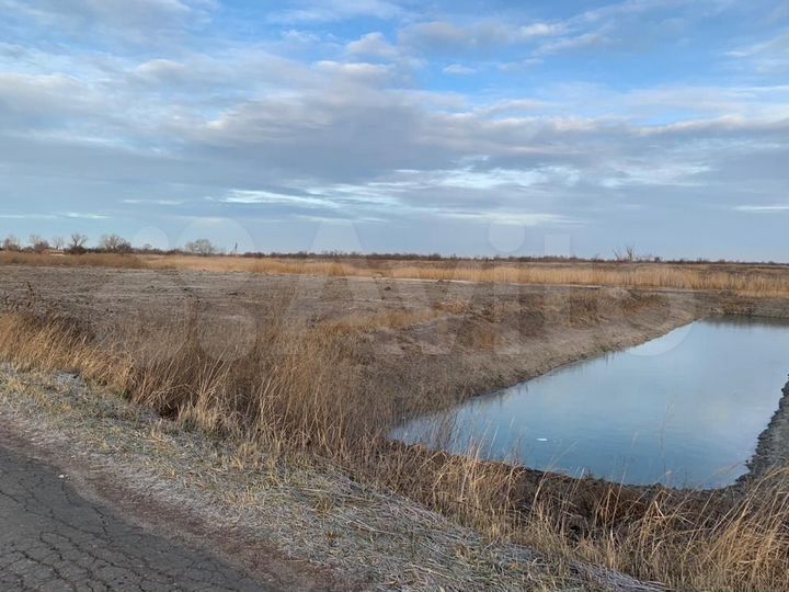 Участок 54 сот. (ИЖС)