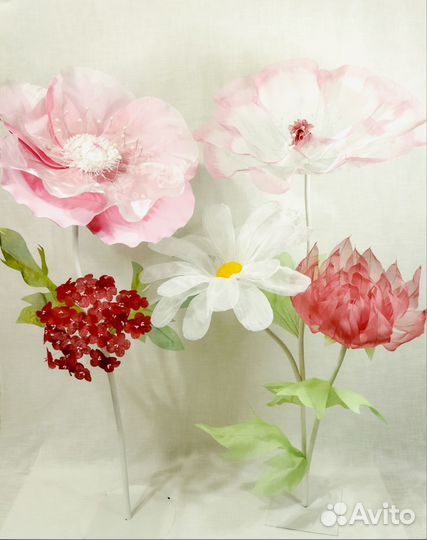 Цветы ростовые и фотозоны