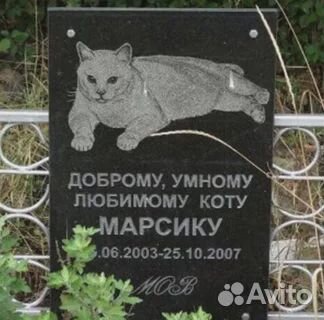 Памятник животному (собаке, кошке) на могилу