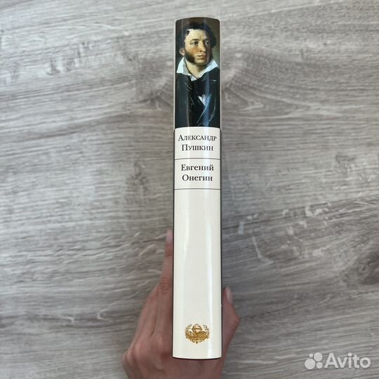 «Евгений Онегин». Библиотека всемирной литературы