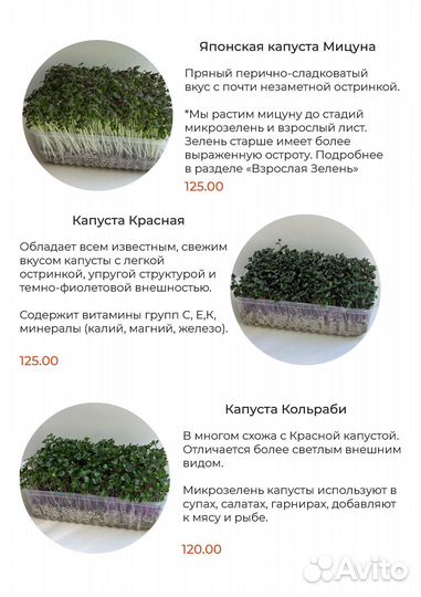 Микрозелень и Взрослая зелень Пермь