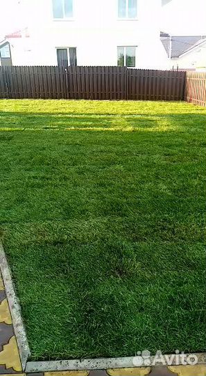 Рулонный газон Ландшафт в Щелково
