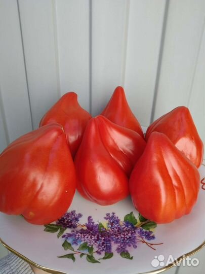 Кызыл Тау,Зелёная тайна личинки