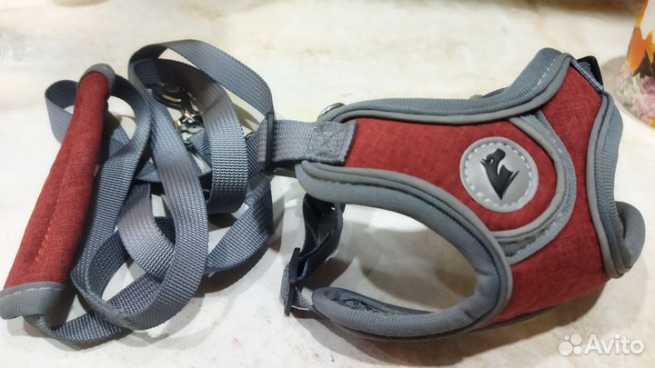 Шлейка для собак