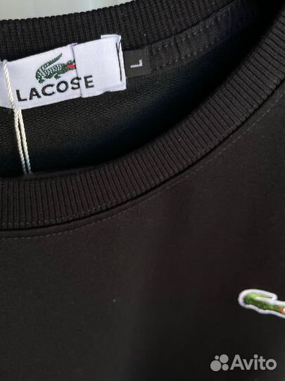 Мужской костбм lacoste двойка