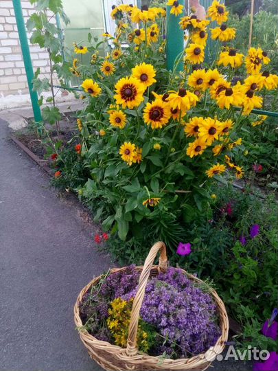 Корзины плетеные из лозы ивы