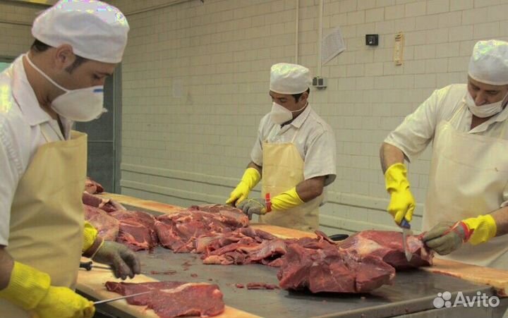 Работа разнорабочим на производстве(Вахта от 15 см