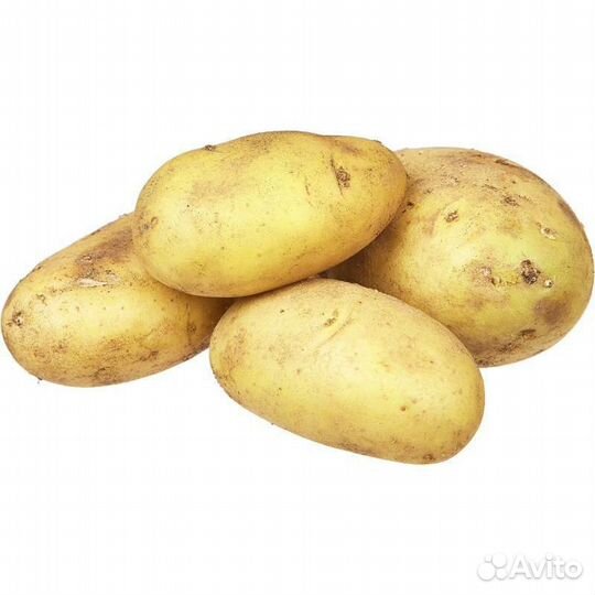 Картофель