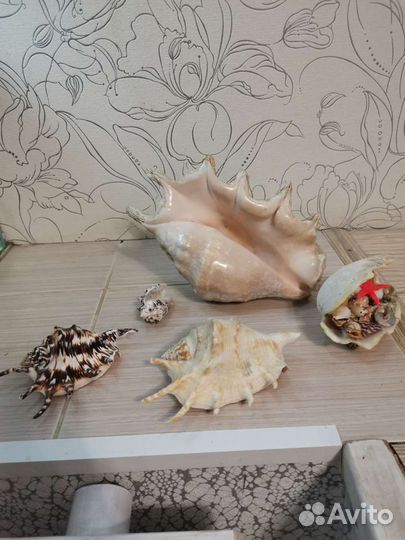 Продам для аквариума украшения