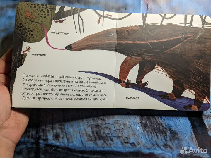 Книжка малышка Анна Веркина Джунгли