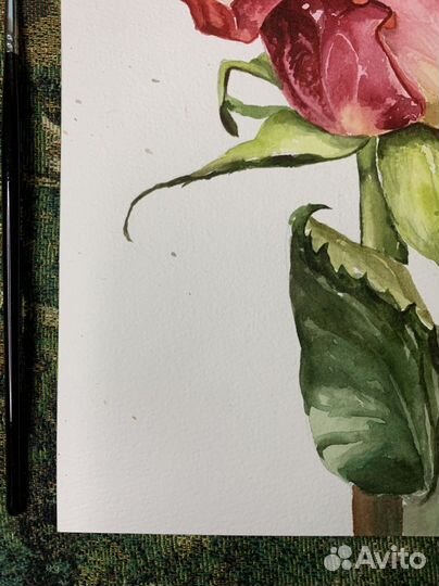 Картина акварель цветы Роза