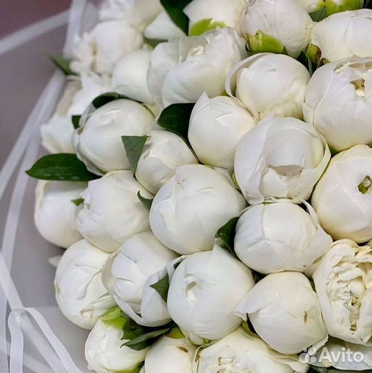 Пионы Букет пионов