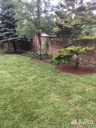 Рулонные газоны