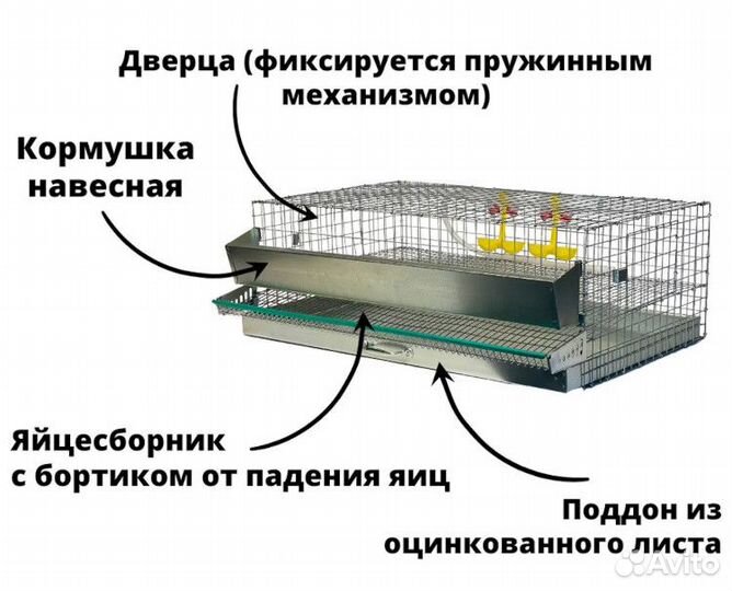 Брудер и Клетки для перепелов и цыплят