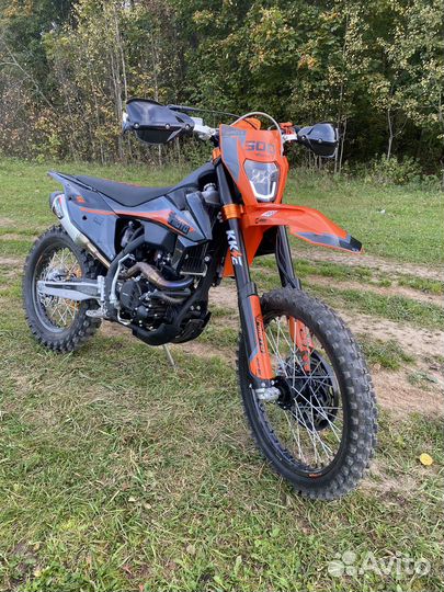 Fidelis et fortis sf6
