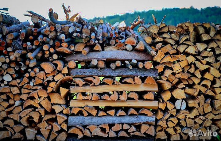 Дрова береза осина ольха
