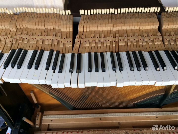 Настройщик, Настройка фортепиано, пианино, рояля